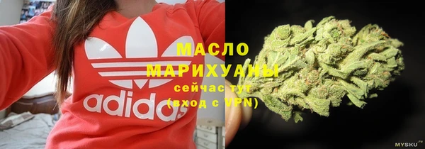 гидра Вязьма