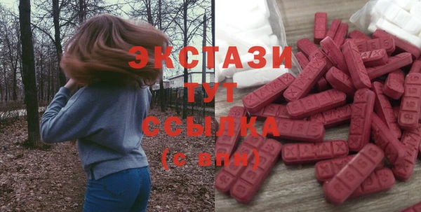 гидра Вязьма