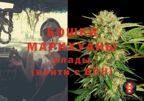гидра Вязьма