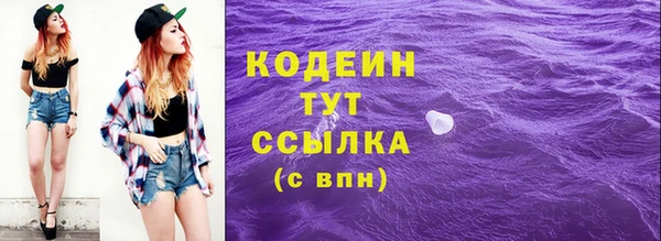 гидра Вязьма