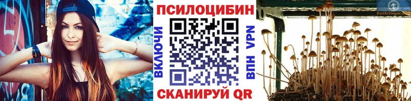 Галлюциногенные грибы Cubensis  мега рабочий сайт  Иланский 